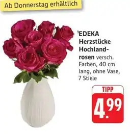 Edeka EDEKA Herzstücke Hochlandrosen Angebot