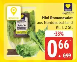 Edeka Mini-Romanasalat Angebot
