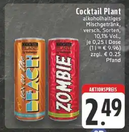 Edeka Cocktail Plant Angebot