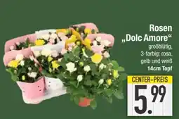 Edeka Rosen 'Dolc Amore' Angebot