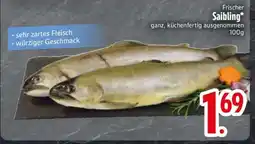 Edeka Frischer Saibling Angebot