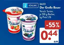 Aldi Süd BAUER Der Große Bauer Angebot