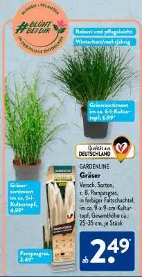 Aldi Süd Gräser Angebot