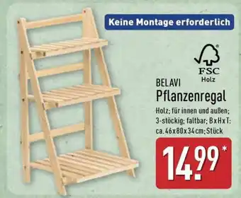 Aldi Nord BELAVI Pflanzenregal Angebot