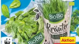 Netto Marken-Discount BioBio Bio-Kräutertöpfe Angebot