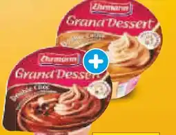 Netto Marken-Discount Ehrmann Grand Dessert Double Choc Angebot