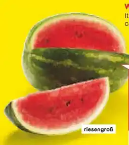 Netto Marken-Discount Wassermelonen Dumara Angebot