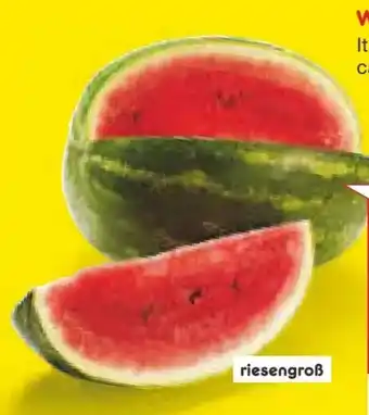 Netto Marken-Discount Wassermelonen Dumara Angebot