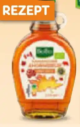 Netto Marken-Discount BioBio Bio-Ahornsirup Angebot