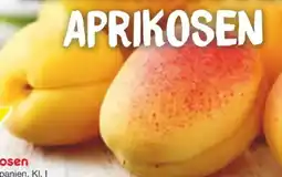 Netto Marken-Discount MarktTag Aprikosen Angebot