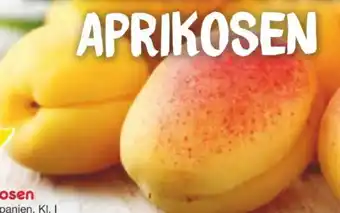 Netto Marken-Discount MarktTag Aprikosen Angebot