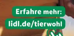 Lidl Action 27 Angebot