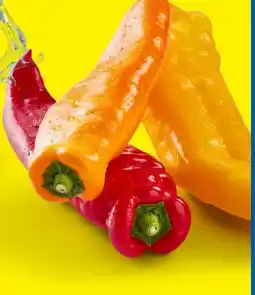 Lidl Spitzpaprika-Mix Angebot