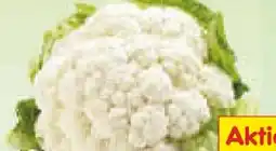Netto Marken-Discount Heimat Blumenkohl Angebot