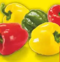 Netto Marken-Discount MarktTag Paprika-Mix Angebot
