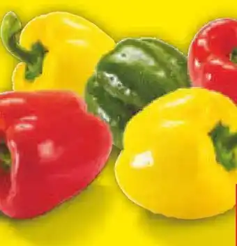 Netto Marken-Discount MarktTag Paprika-Mix Angebot