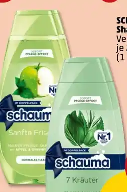 PENNY Schwarzkopf Schauma Shampoo Angebot