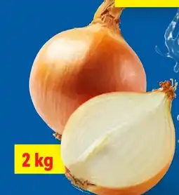 Lidl Zwiebeln Angebot
