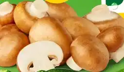 PENNY Marktliebe Champignons Angebot