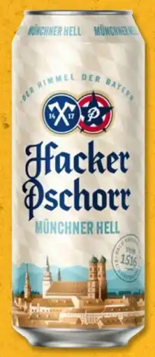 PENNY Hacker-Pschorr Münchner Hell Angebot