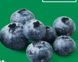 Lidl Bio-Heidelbeeren Angebot