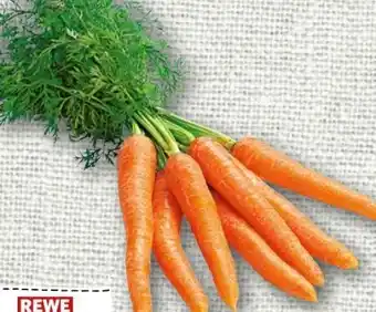 nahkauf Rewe Regional Bundmöhren Angebot