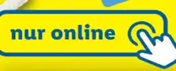 Lidl Action 45 Angebot