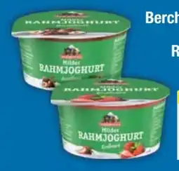E-Center Berchtesgadener Land Milder Rahmjoghurt Angebot