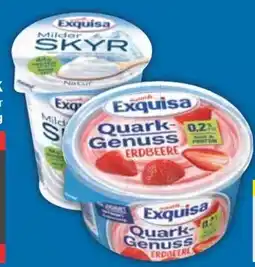 E-Center Exquisa Skyr Angebot