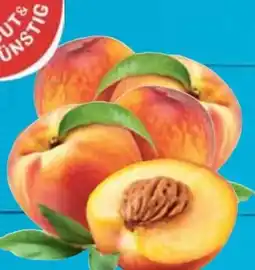 E-Center Gut & Günstig Nektarinen Angebot