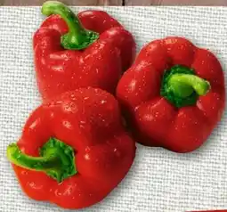 nahkauf Rote Paprika Angebot
