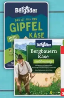 E-Center Bergader Käsescheiben mild-nussig Angebot