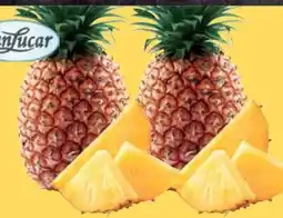 E-Center SanLucar Ananas Extra Sweet Angebot