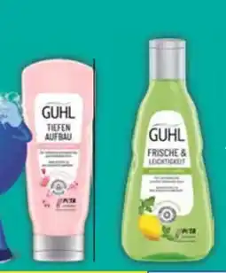 E-Center Guhl Shampoo Angebot