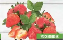 E-Center Erdbeeren Angebot