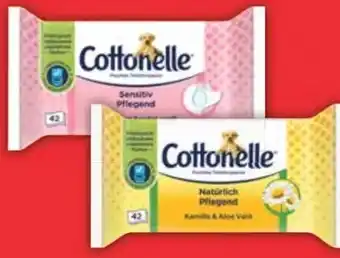 E-Center Cottonelle Feuchte Toilettentücher Angebot