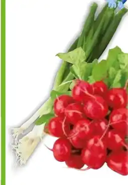 Edeka Radieschen Angebot