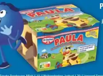 E-Center Dr. Oetker Paula Vanille-Pudding Angebot