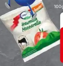 Edeka Züger Bio Heumilch-Mozzarella Angebot