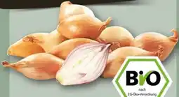 REWE Center Rewe Bio Schalotten Angebot