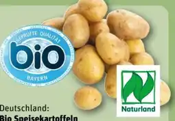 REWE Center Bio-Speisekartoffeln Angebot