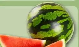 REWE Center Mini-Wassermelone Angebot