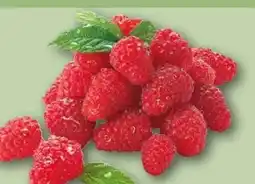 REWE Center Himbeeren Angebot