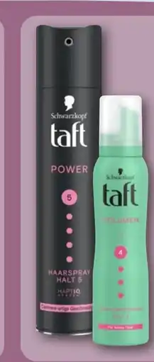 REWE Center Schwarzkopf Taft Schaumfestiger Volumen Angebot