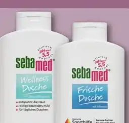 REWE Center Sebamed Duschgel Angebot