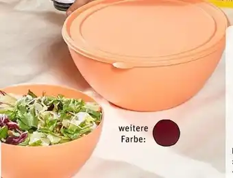 REWE Center Vivess Schüssel mit Deckel Angebot