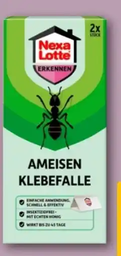 REWE Center Nexa Lotte Ameisen Klebefalle Angebot