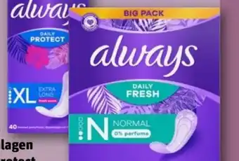 REWE Center Always Slipeinlagen Daily Protect XL Angebot