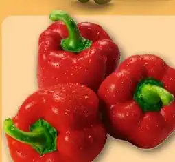 REWE Rote Paprika Angebot