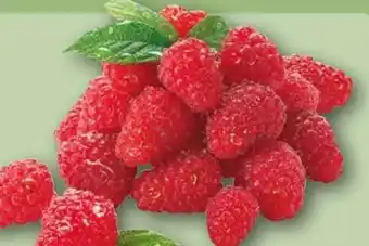REWE Himbeeren Angebot